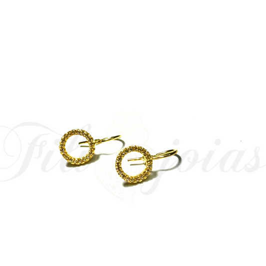 Brinco Circulo de Brilho
